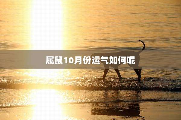 属鼠10月份运气如何呢