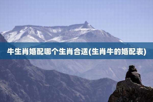 牛生肖婚配哪个生肖合适(生肖牛的婚配表)