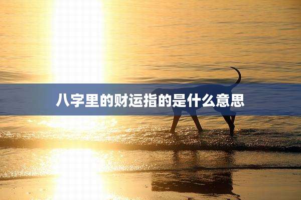 八字里的财运指的是什么意思