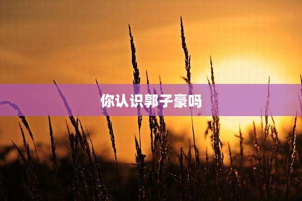 你认识郭子豪吗