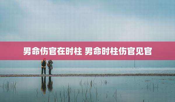 男命伤官在时柱 男命时柱伤官见官