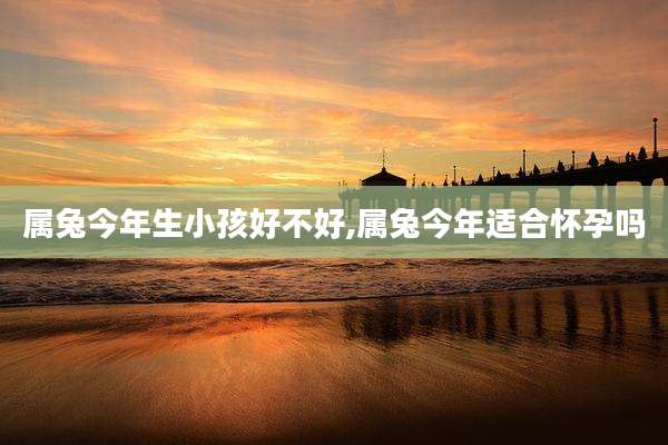 属兔今年生小孩好不好,属兔今年适合怀孕吗