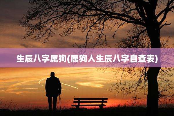 生辰八字属狗(属狗人生辰八字自查表)