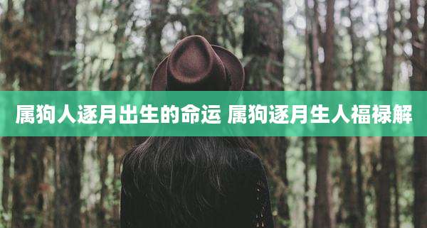 属狗人逐月出生的命运 属狗逐月生人福禄解