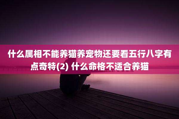 什么属相不能养猫养宠物还要看五行八字有点奇特(2) 什么命格不适合养猫