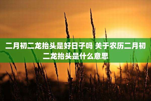二月初二龙抬头是好日子吗 关于农历二月初二龙抬头是什么意思