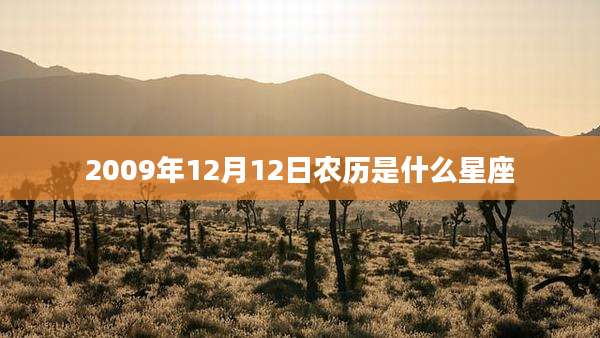 2009年12月12日农历是什么星座