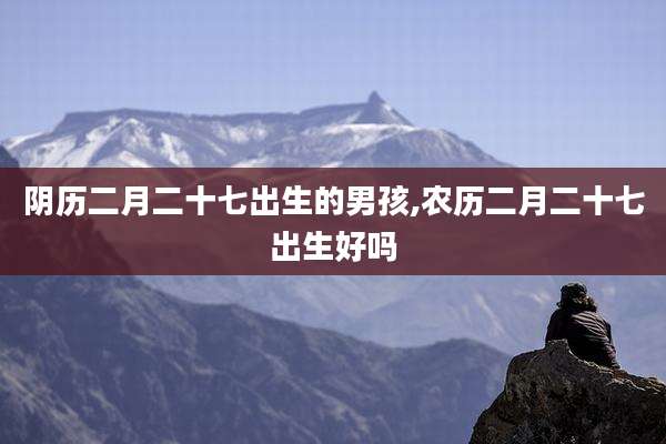 阴历二月二十七出生的男孩,农历二月二十七出生好吗