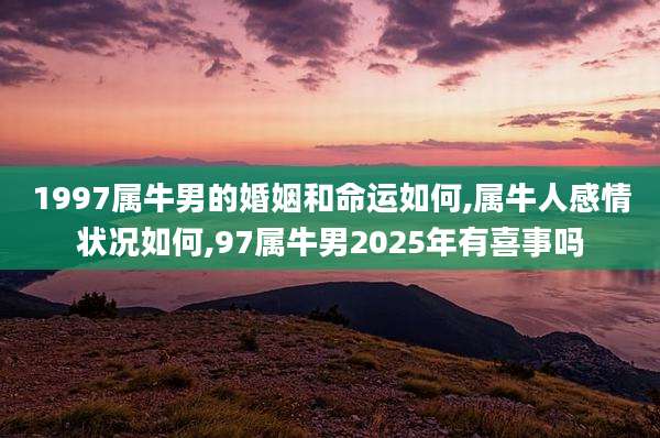 1997属牛男的婚姻和命运如何,属牛人感情状况如何,97属牛男2025年有喜事吗