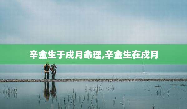 辛金生于戌月命理,辛金生在戍月