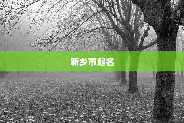新乡市起名