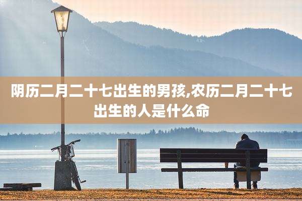 阴历二月二十七出生的男孩,农历二月二十七出生的人是什么命