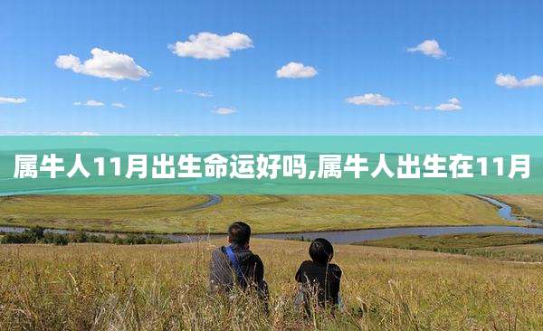 属牛人11月出生命运好吗,属牛人出生在11月