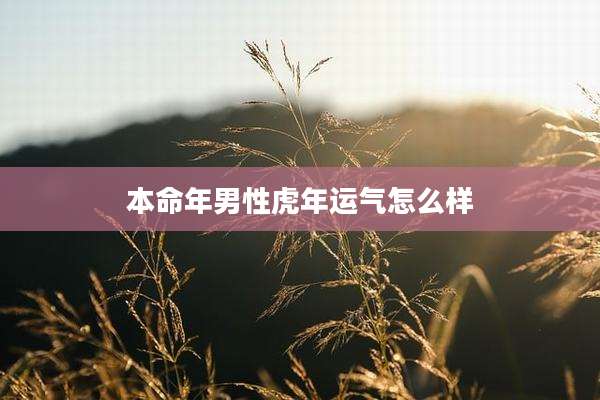 本命年男***年运气怎么样
