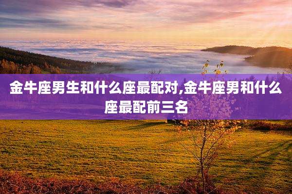 金牛座男生和什么座最配对,金牛座男和什么座最配前三名