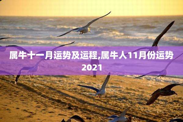 属牛十一月运势及运程,属牛人11月份运势2021