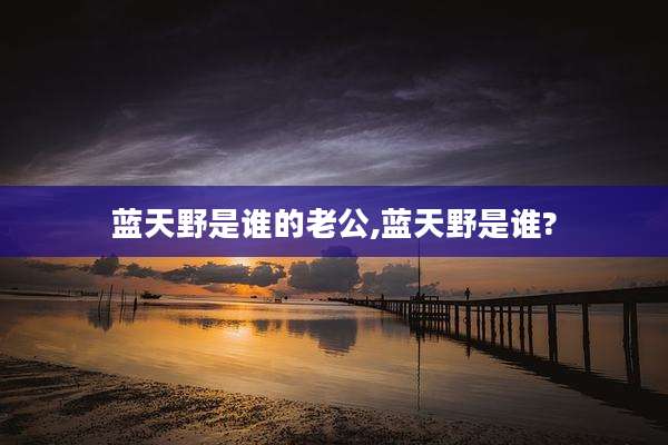蓝天野是谁的老公,蓝天野是谁?