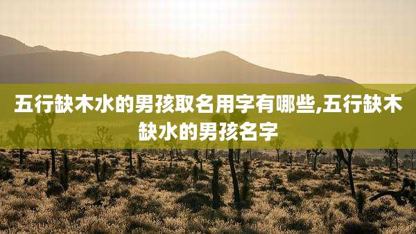 五行缺木水的男孩取名用字有哪些,五行缺木缺水的男孩名字