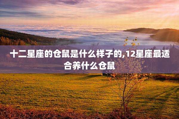十二星座的仓鼠是什么样子的,12星座最适合养什么仓鼠