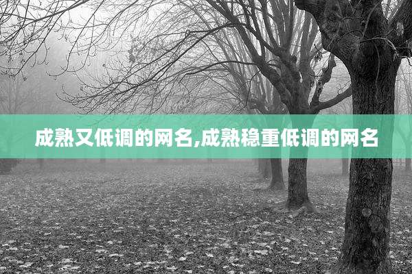 成熟又低调的网名,成熟稳重低调的网名