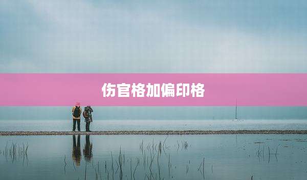 伤官格加偏印格