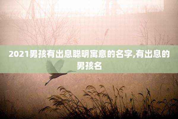 2021男孩有出息聪明寓意的名字,有出息的男孩名
