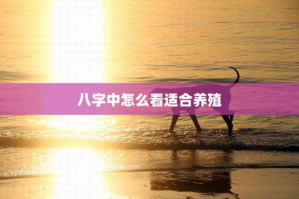 八字中怎么看适合养殖