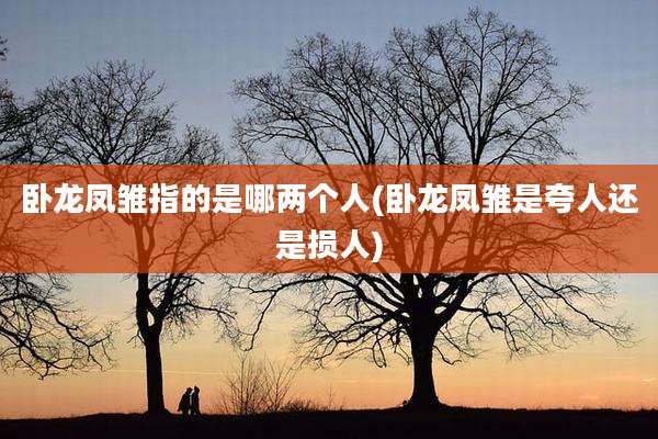 卧龙凤雏指的是哪两个人(卧龙凤雏是夸人还是损人)