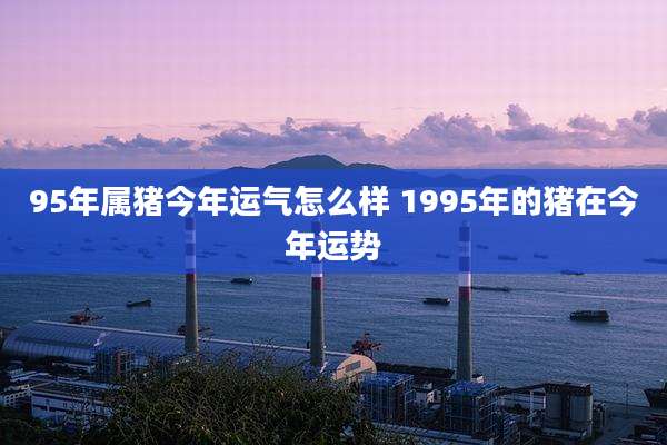 95年属猪今年运气怎么样 1995年的猪在今年运势