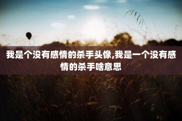 我是个没有感情的杀手头像,我是一个没有感情的杀手啥意思