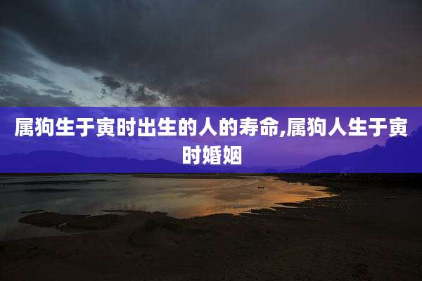 属狗生于寅时出生的人的寿命,属狗人生于寅时婚姻