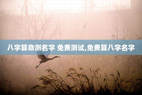 八字算命测名字 免费测试,免费算八字名字