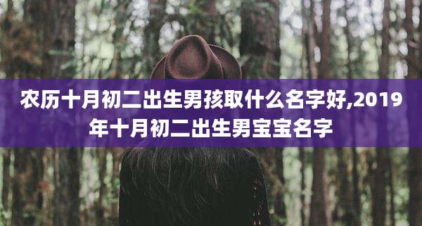 农历十月初二出生男孩取什么名字好,2019年十月初二出生男宝宝名字