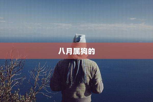 八月属狗的