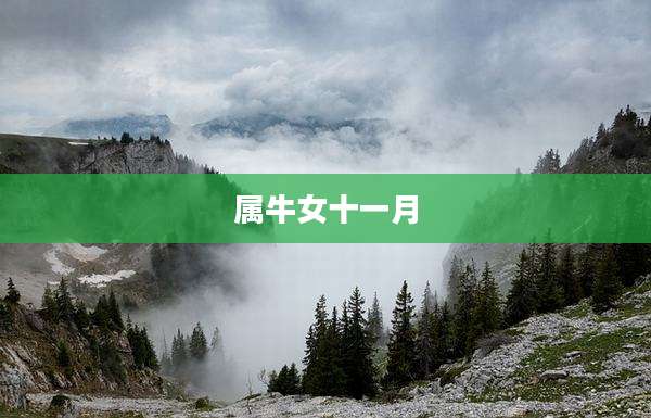 属牛女十一月