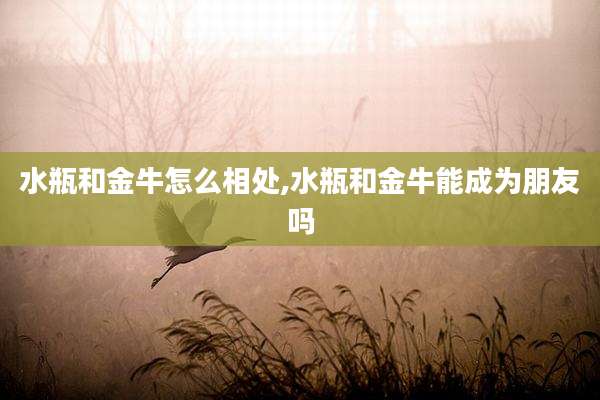 水瓶和金牛怎么相处,水瓶和金牛能成为朋友吗