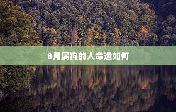 8月属狗的人命运如何