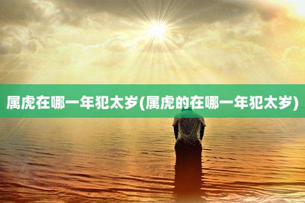 属虎在哪一年犯太岁(属虎的在哪一年犯太岁)