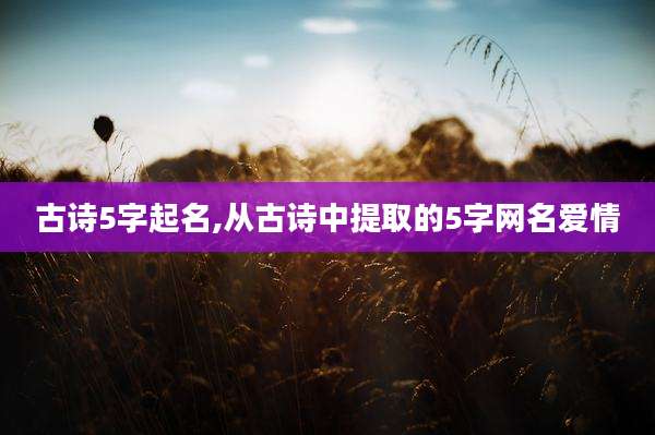 古诗5字起名,从古诗中提取的5字网名爱情