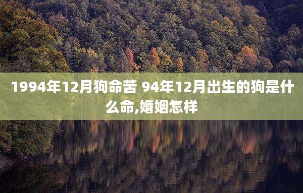 1994年12月狗命苦 94年12月出生的狗是什么命,婚姻怎样
