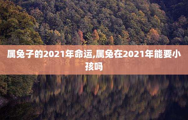 属兔子的2021年命运,属兔在2021年能要小孩吗