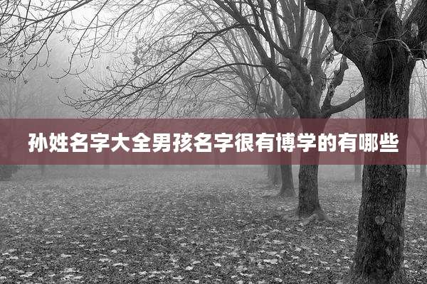 孙姓名字大全男孩名字很有博学的有哪些