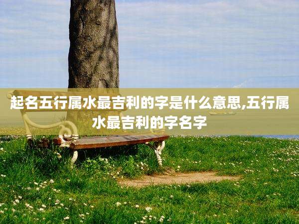 起名五行属水最吉利的字是什么意思,五行属水最吉利的字名字