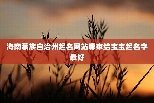 海南藏族自治州起名网站哪家给宝宝起名字最好