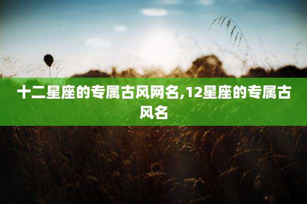 十二星座的专属古风网名,12星座的专属古风名