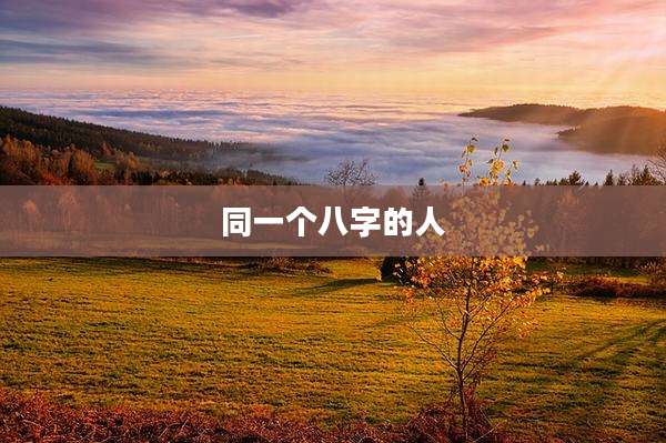 同一个八字的人