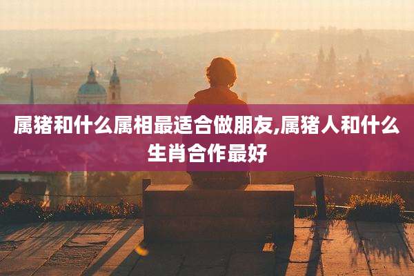 属猪和什么属相最适合做朋友,属猪人和什么生肖合作最好