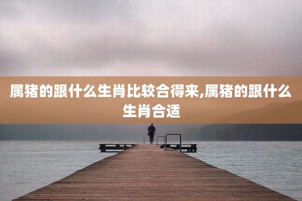 属猪的跟什么生肖比较合得来,属猪的跟什么生肖合适