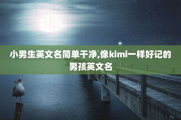 小男生英文名简单干净,像kimi一样好记的男孩英文名