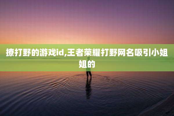 撩打野的游戏id,王者荣耀打野网名吸引小姐姐的